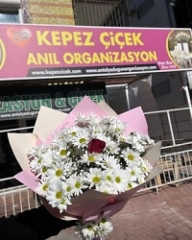Papatyalı Tek Gül Buketi